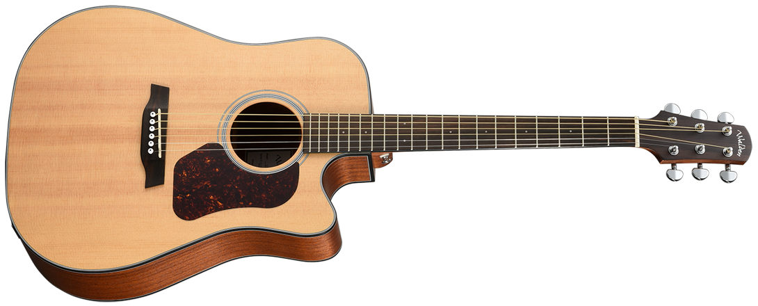 Stoptime Music Distribution -Products- Walden D550CE Natura
