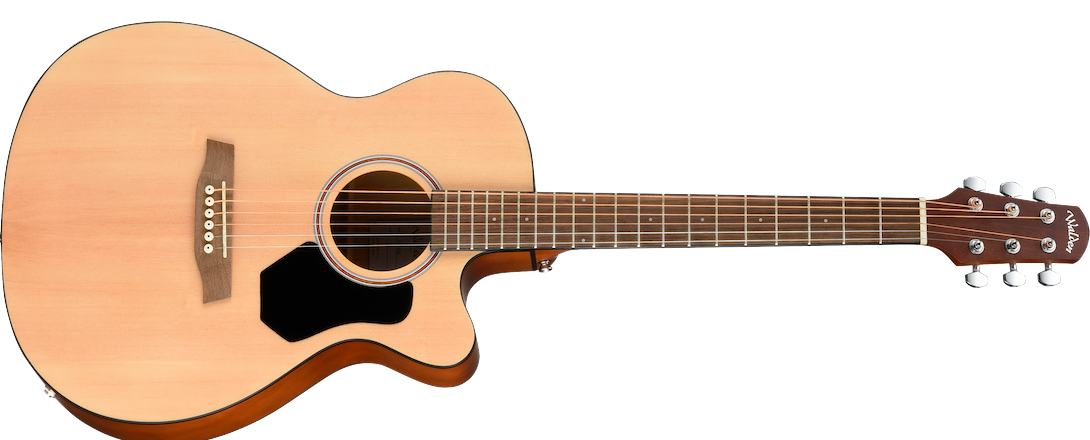 Stoptime Music Distribution -Products- Walden F255CE 200